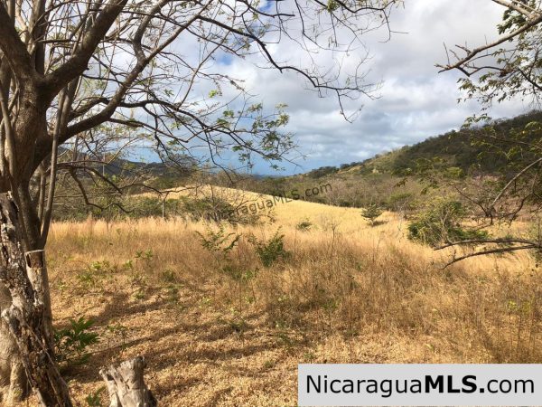 El Oro Flat Lot Ready to Build with Access to Water & Electricity - Image 6