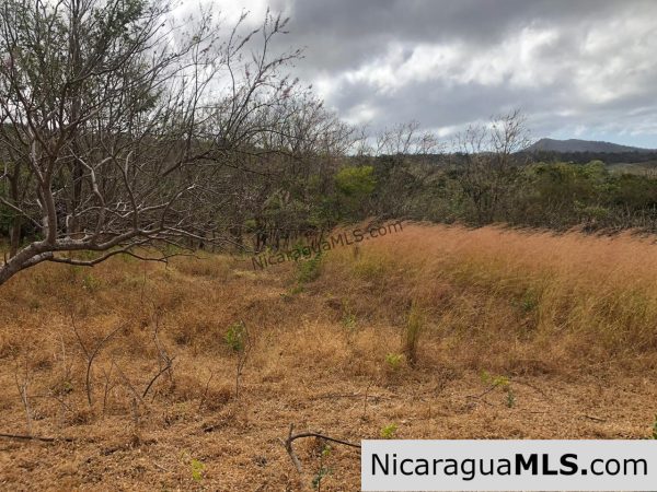 El Oro Flat Lot Ready to Build with Access to Water & Electricity - Image 8