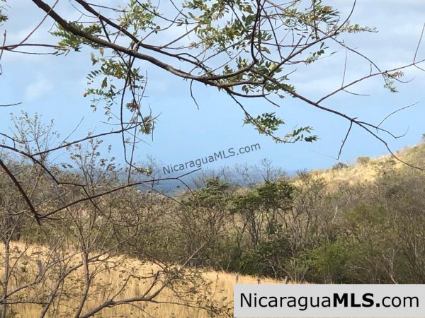 El Oro Flat Lot Ready to Build with Access to Water & Electricity - Image 9