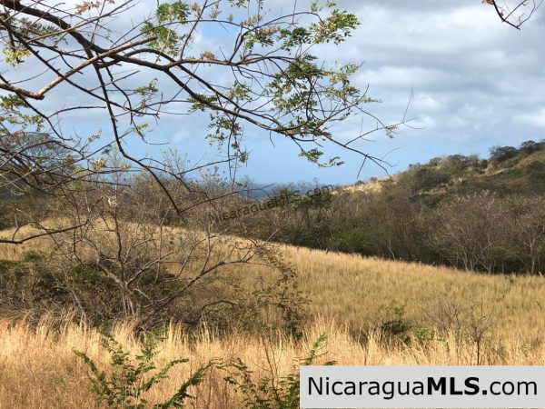 El Oro Flat Lot Ready to Build with Access to Water & Electricity - Image 10