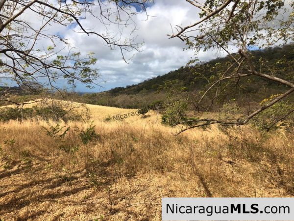 El Oro Flat Lot Ready to Build with Access to Water & Electricity - Image 11