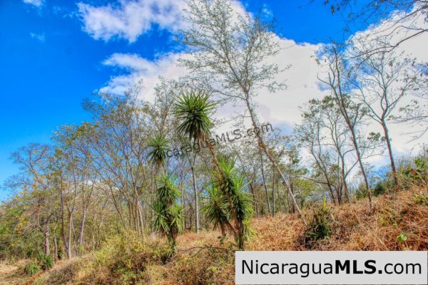 ¾ acre Luxury Lot A10 Encanto del Sur San Juan del Sur - Image 4