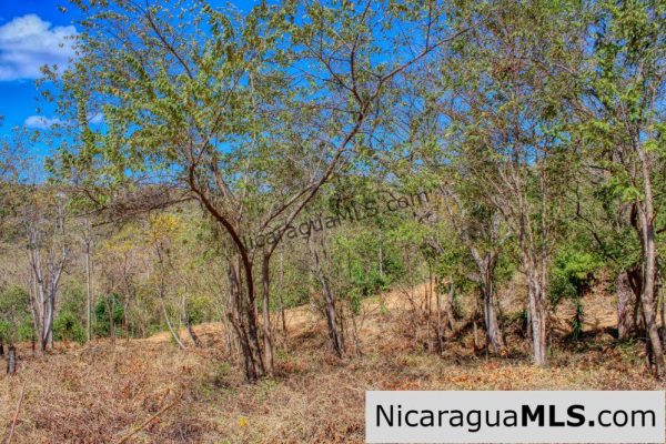 ¾ acre Luxury Lot A10 Encanto del Sur San Juan del Sur - Image 5