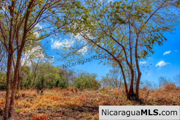 ¾ acre Luxury Lot A10 Encanto del Sur San Juan del Sur - Image 7