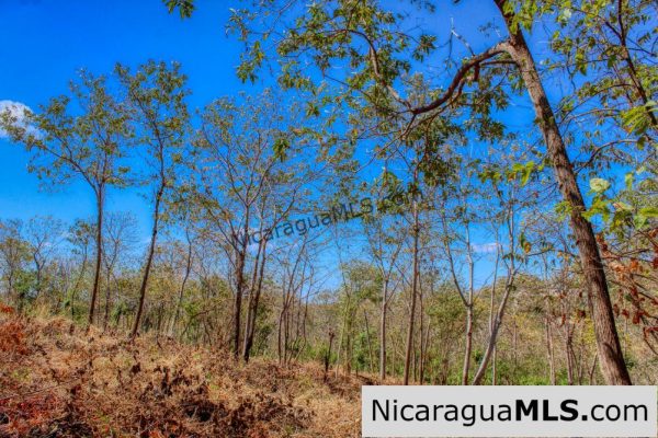 ¾ acre Luxury Lot A10 Encanto del Sur San Juan del Sur - Image 10