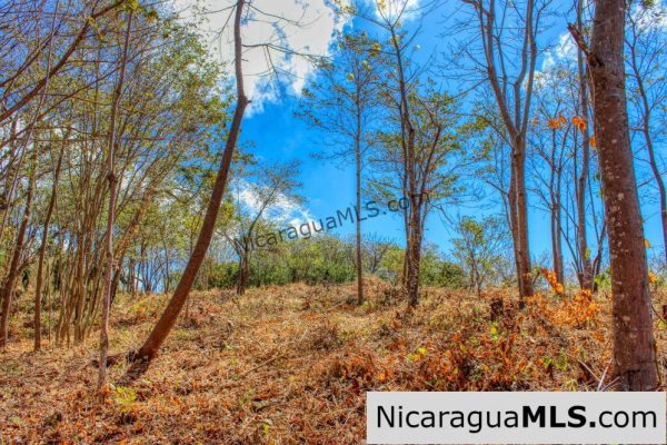 ¾ acre Luxury Lot A10 Encanto del Sur San Juan del Sur - Image 9