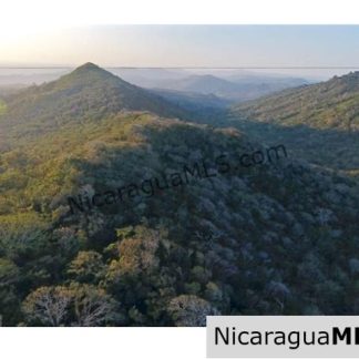 Large Parcels at Finca Las Nubes Organic Farm