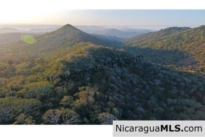 Large Parcels at Finca Las Nubes Organic Farm