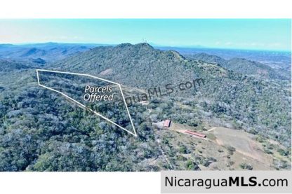 Large Parcels at Finca Las Nubes Organic Farm