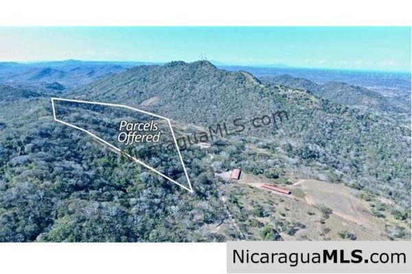 Large Parcels at Finca Las Nubes Organic Farm - Image 2