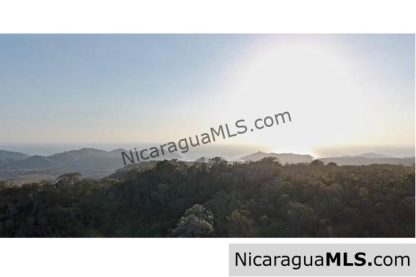 Large Parcels at Finca Las Nubes Organic Farm