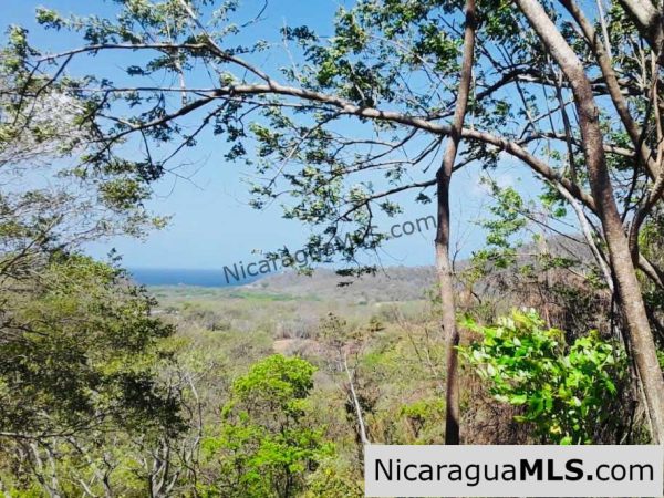 Finca Dulce Oceanview near Surf Madera - Image 3