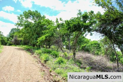 A Naturally Stunning Ecological Homesite Lot 32 Las Fincas