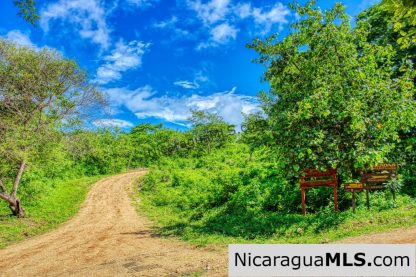 A Naturally Stunning Ecological Homesite Lot 32 Las Fincas