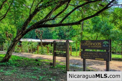 A Naturally Stunning Ecological Homesite Lot 32 Las Fincas