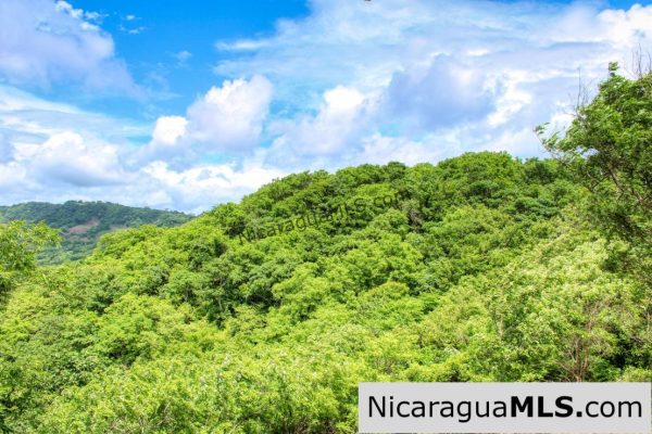 A Naturally Stunning Ecological Homesite Lot 32 Las Fincas - Image 5