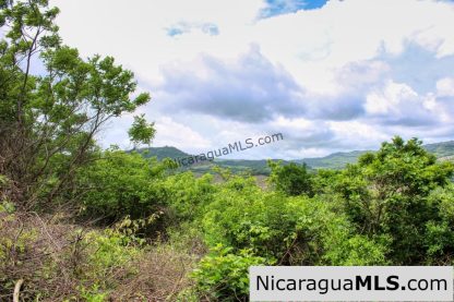 A Naturally Stunning Ecological Homesite Lot 32 Las Fincas