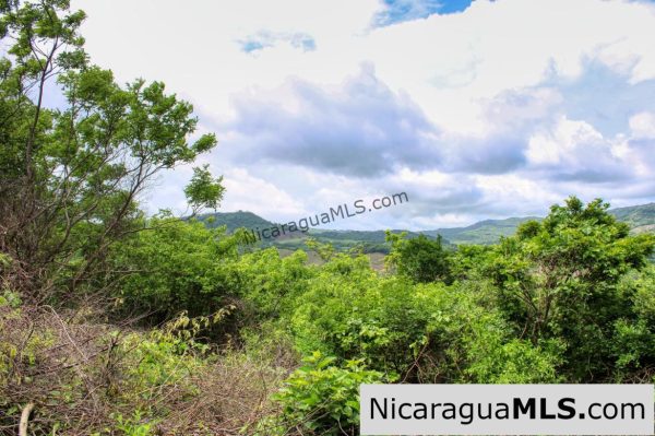 A Naturally Stunning Ecological Homesite Lot 32 Las Fincas - Image 6