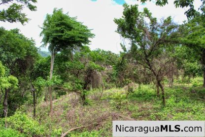 A Naturally Stunning Ecological Homesite Lot 32 Las Fincas
