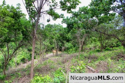 A Naturally Stunning Ecological Homesite Lot 32 Las Fincas