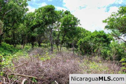A Naturally Stunning Ecological Homesite Lot 32 Las Fincas