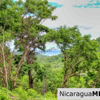 Las Fincas Eco Community 1.7 acres Ocean and Jungle Views