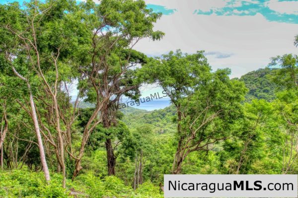 Las Fincas Eco Community 1.7 acres Ocean and Jungle Views