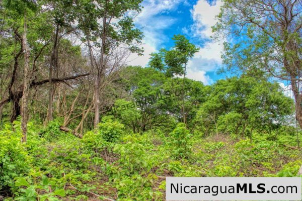 Las Fincas Eco Community 1.7 acres Ocean and Jungle Views - Image 10