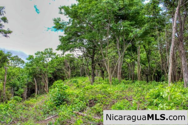 Las Fincas Eco Community 1.7 acres Ocean and Jungle Views - Image 11