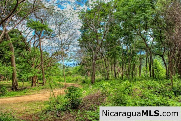 Las Fincas Eco Community 1.7 acres Ocean and Jungle Views - Image 12