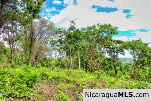 Las Fincas Eco Community 1.7 acres Ocean and Jungle Views - Image 13