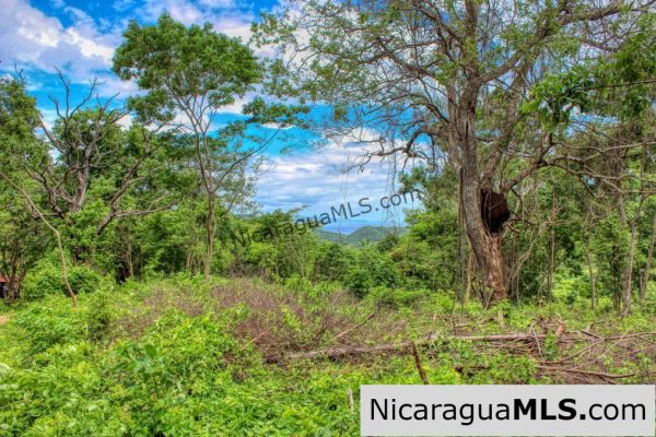 Las Fincas Eco Community 1.7 acres Ocean and Jungle Views - Image 2