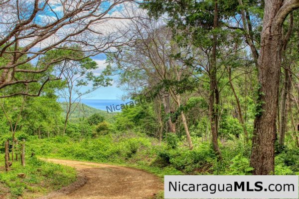 Las Fincas Eco Community 1.7 acres Ocean and Jungle Views - Image 3