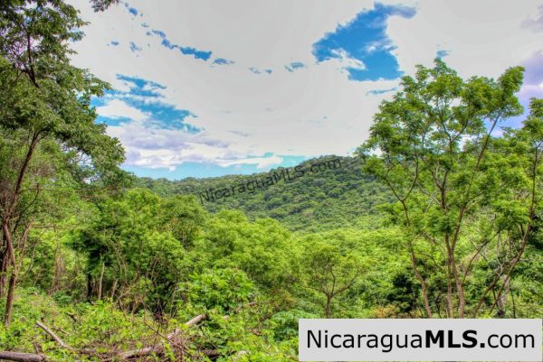 Las Fincas Eco Community 1.7 acres Ocean and Jungle Views - Image 5