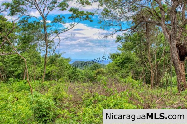 Las Fincas Eco Community 1.7 acres Ocean and Jungle Views - Image 4