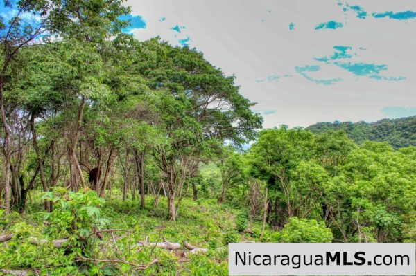 Las Fincas Eco Community 1.7 acres Ocean and Jungle Views - Image 7