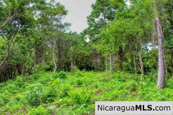Las Fincas Eco Community 1.7 acres Ocean and Jungle Views - Image 8