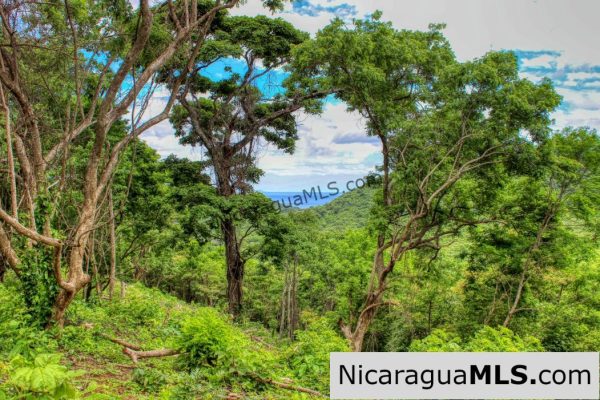 Las Fincas Eco Community 1.7 acres Ocean and Jungle Views - Image 9