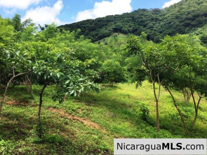 Off Grid Tranquil Paradise Only 20 Minutes North of San Juan del Sur