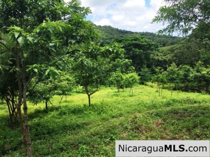 Off Grid Tranquil Paradise Only 20 Minutes North of San Juan del Sur