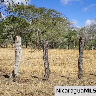 1 Manzana Lot for Sale in front of Surf Ranch