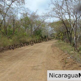 Heavily Wooded 9 Manzana Property with Ocean Views