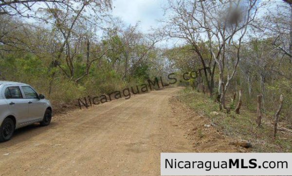 Heavily Wooded 9 Manzana Property with Ocean Views