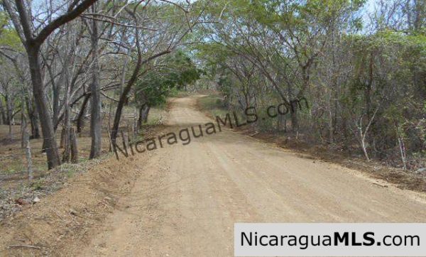 Heavily Wooded 9 Manzana Property with Ocean Views - Image 2