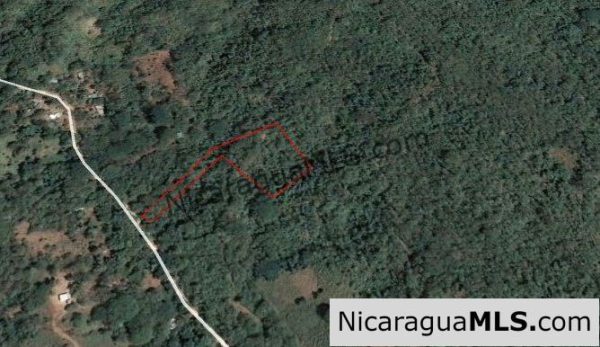 Heavily Wooded 9 Manzana Property with Ocean Views - Image 20