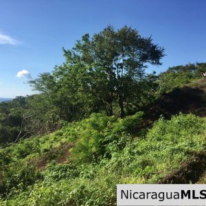 Amazing view over Playa Maderas
