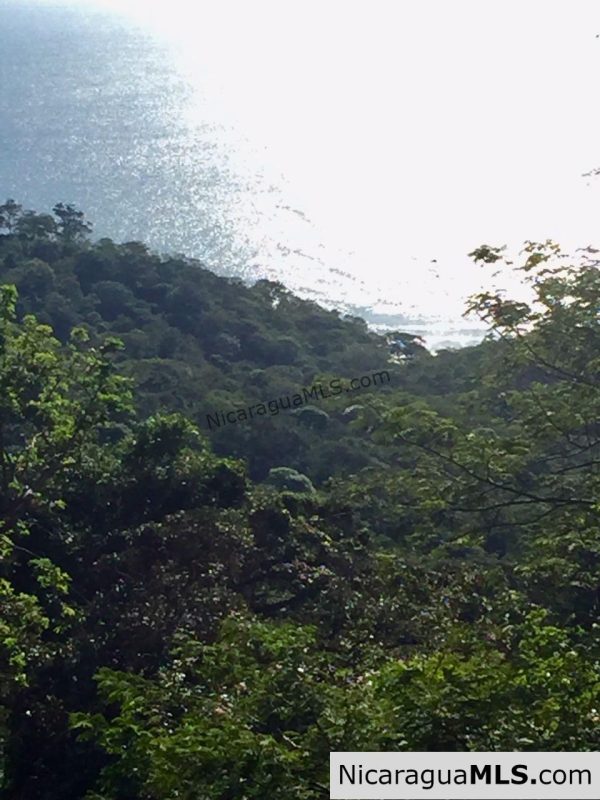 Amazing view over Playa Maderas - Image 7
