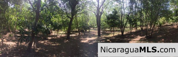 Commercial acreage within walking distance to Playa Marsella and Maderas - Image 4