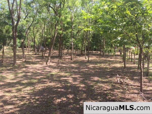 Commercial acreage within walking distance to Playa Marsella and Maderas - Image 13