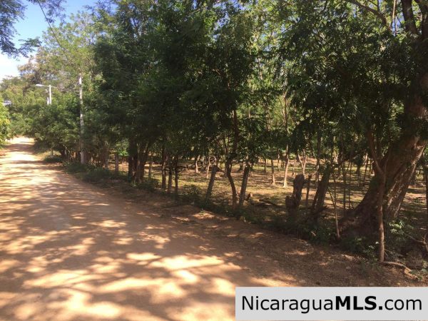 Commercial acreage within walking distance to Playa Marsella and Maderas - Image 6